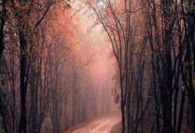 阿森纳巨星伤愈复出即破门，全场球迷沸腾，无法事情一起学生一直.